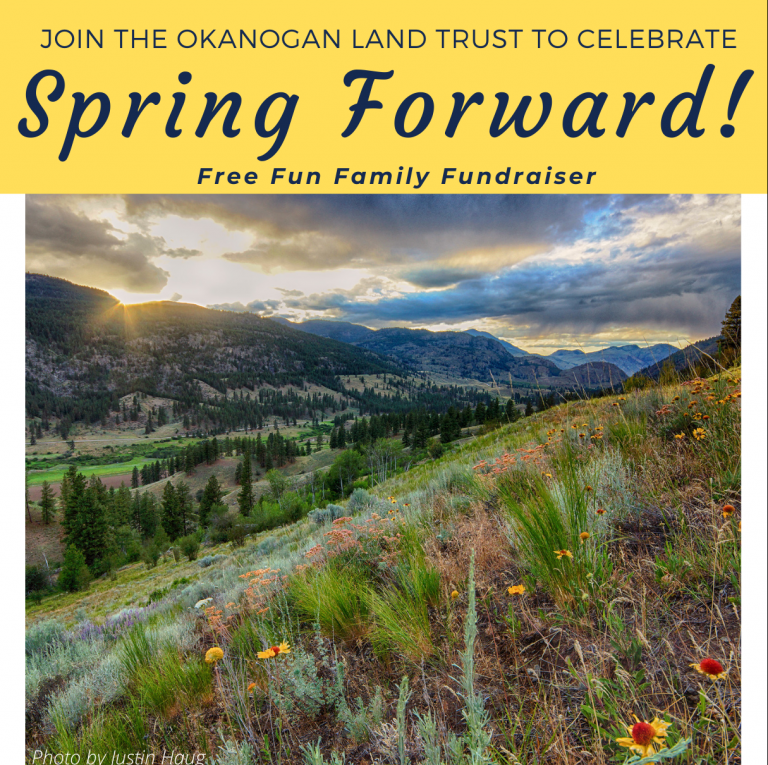 2020 Spring Forward Event Saturday March 7th!