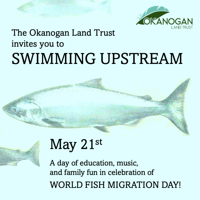 May 21st, OLT invites you to Swimming Upstream, a celebration of friends, family and fish!