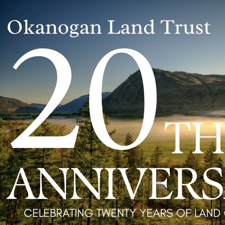 Can You Believe It? 2022 marked OLT’s 20th anniversary