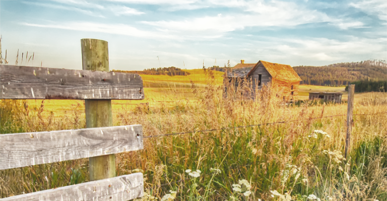 8166 Nelson Cabin Landscape rs header