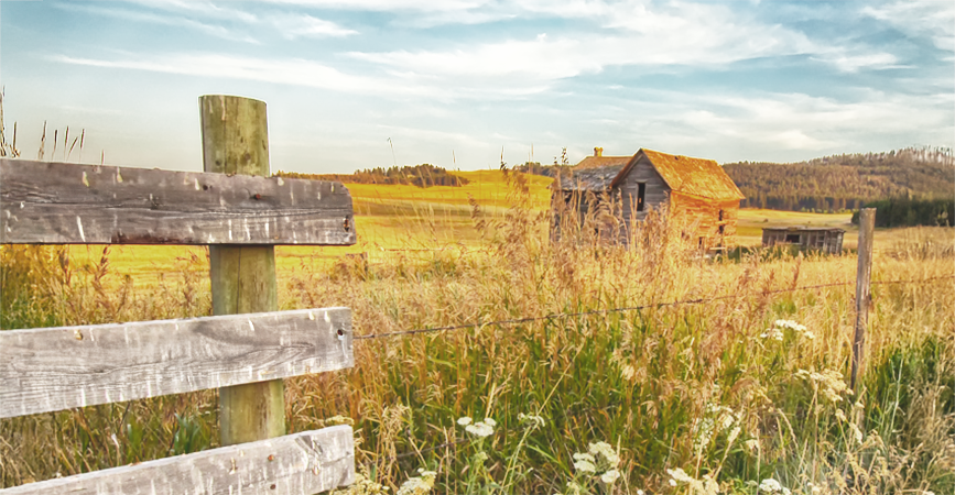 8166 Nelson Cabin Landscape rs header