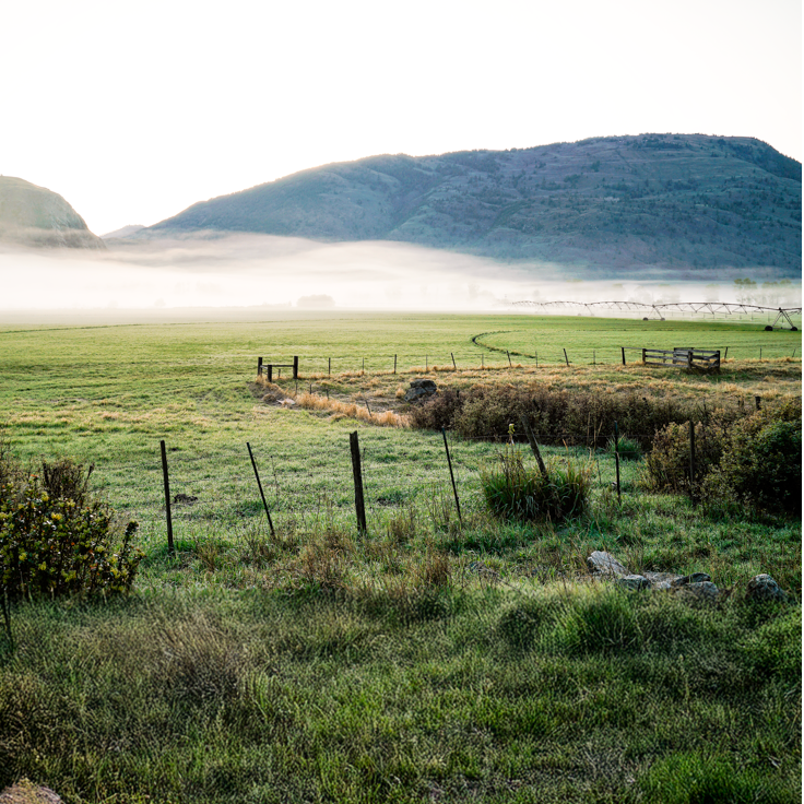 alt="conservation easement image-wahl ranch"