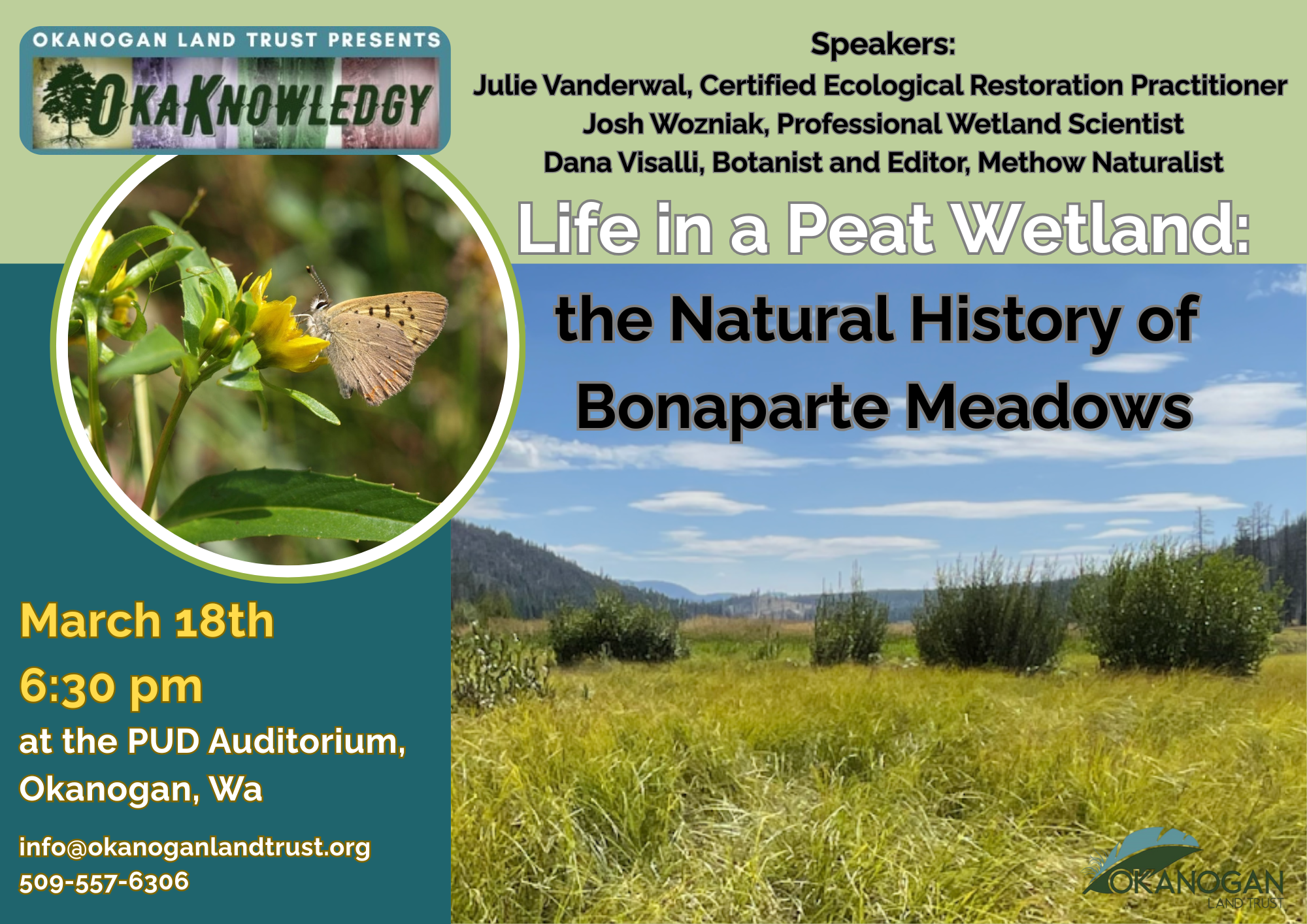 Life in a Peat WetlandJulie Vanderwal (1)
