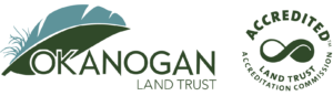 Cropped OKL vector logo new color accreditation 1.png