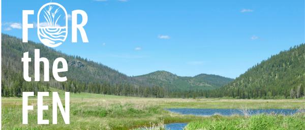 Why Protect a Headwaters Wetland?