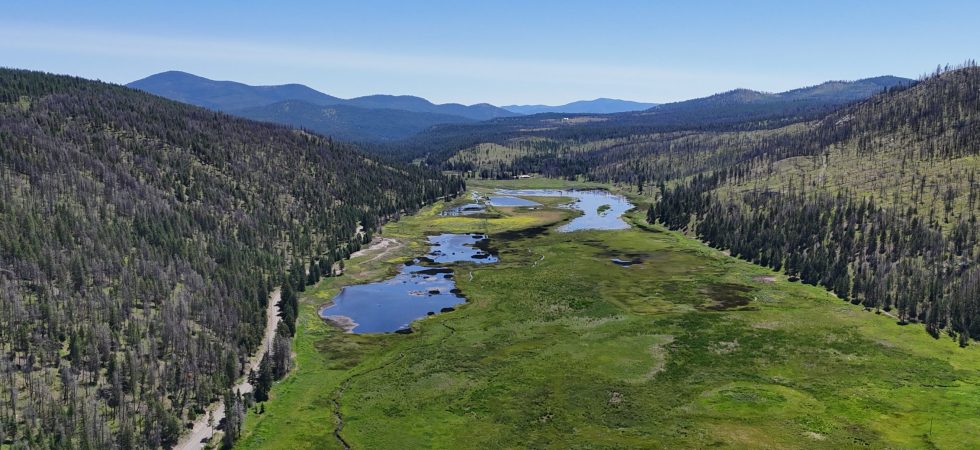 A Generous Pledge for Birds, Wetlands, and Connected Habitat