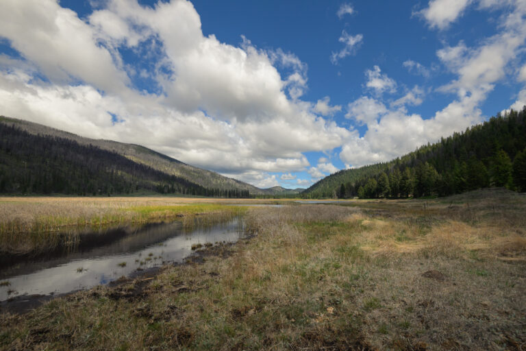 View of Fen looking towards Bonoparte Lake (NE)