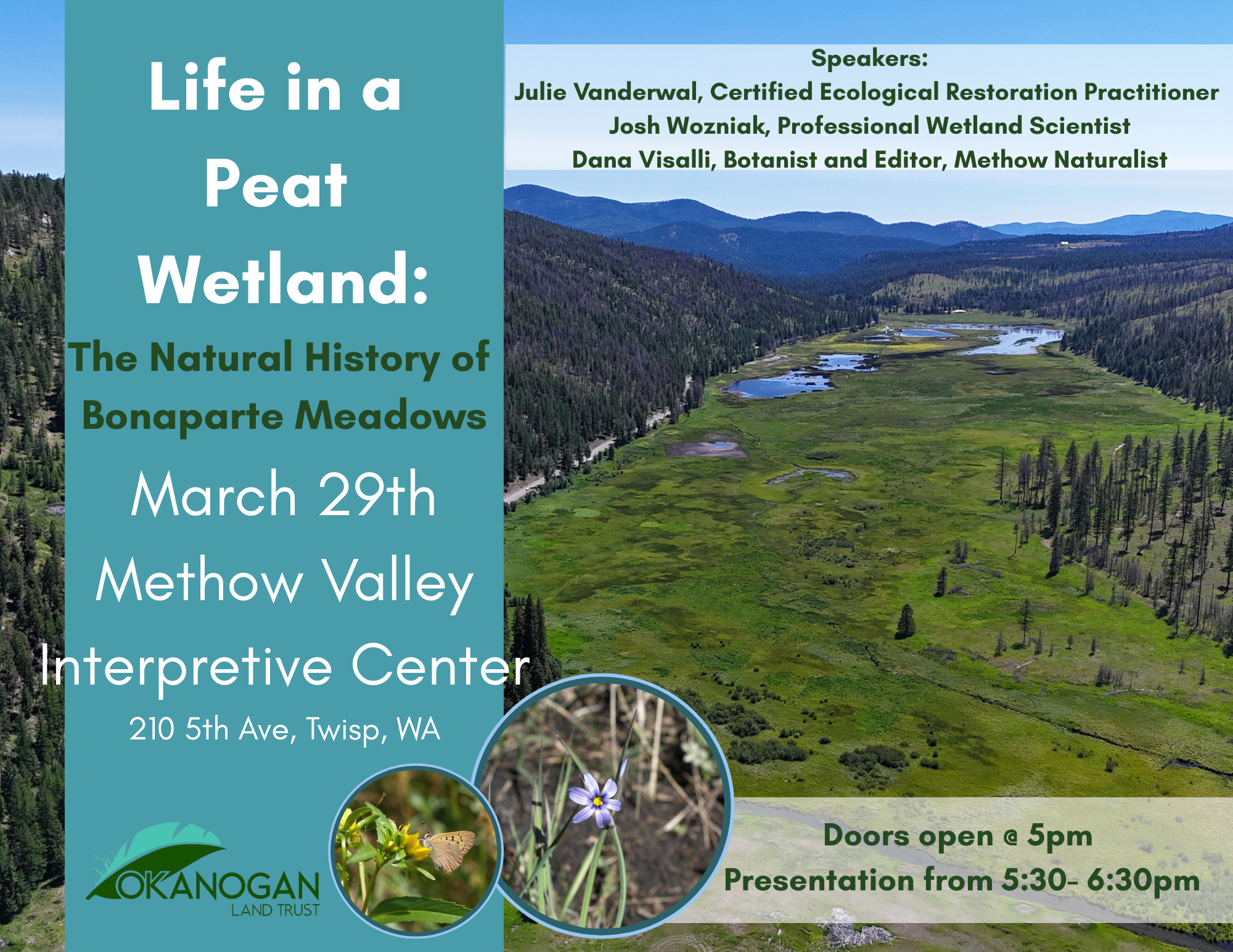 Life-in-a-Peat-Wetland-MVIC Life in a Peat Wetland MVIC