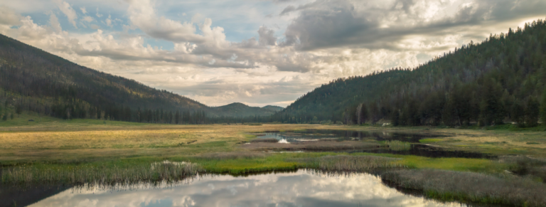 Untitled (1080 x 409 px) (5)