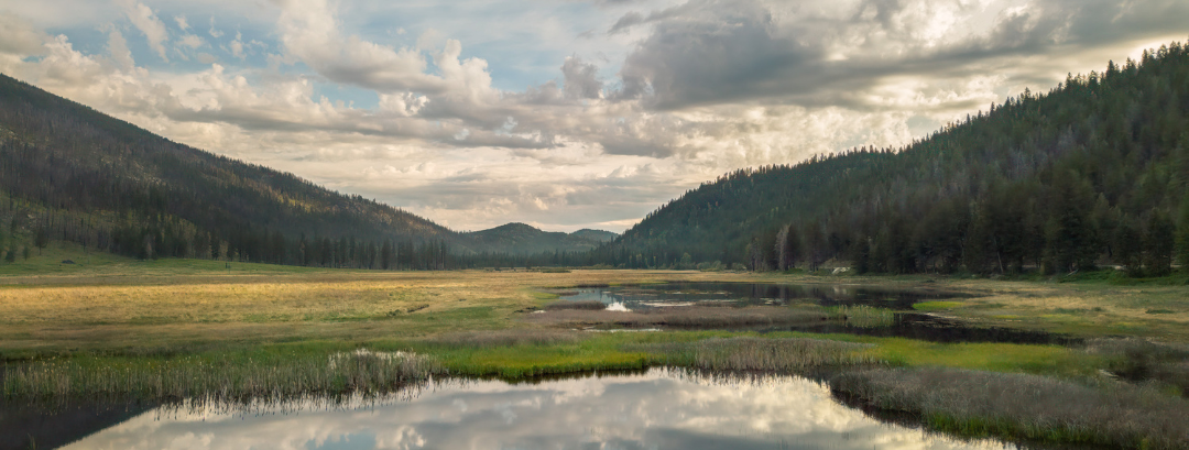 Untitled (1080 x 409 px) (5)