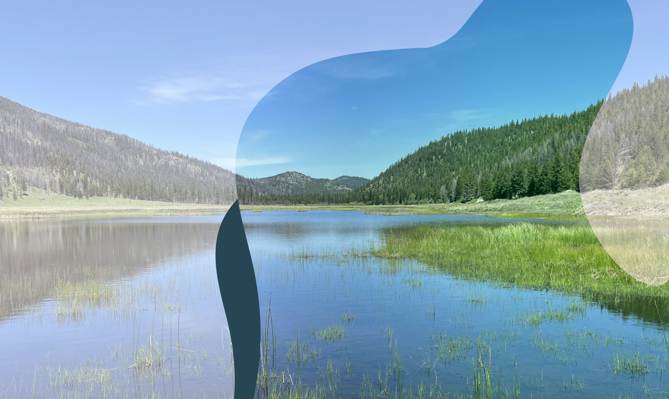 Hero background landingpage working v7