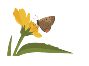 Left butterfly scene v1 Copy
